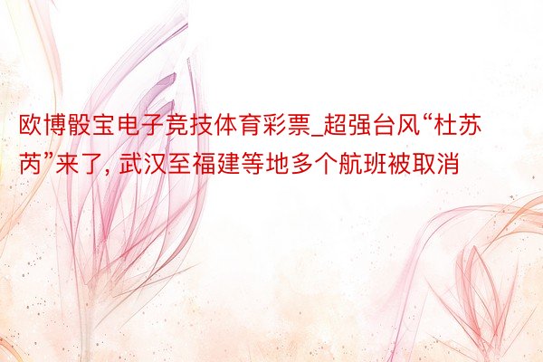 欧博骰宝电子竞技体育彩票_超强台风“杜苏芮”来了, 武汉至福建等地多个航班被取消