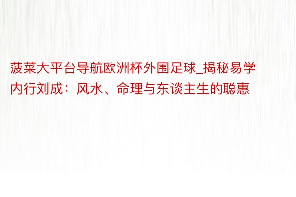 菠菜大平台导航欧洲杯外围足球_揭秘易学内行刘成：风水、命理与东谈主生的聪惠