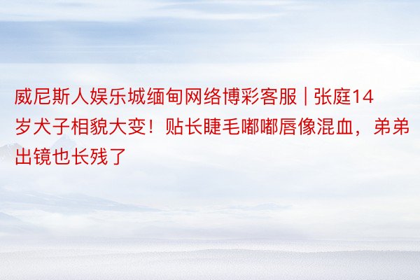 威尼斯人娱乐城缅甸网络博彩客服 | 张庭14岁犬子相貌大变！贴长睫毛嘟嘟唇像混血，弟弟出镜也长残了